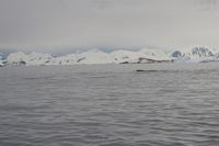 
DSC00074